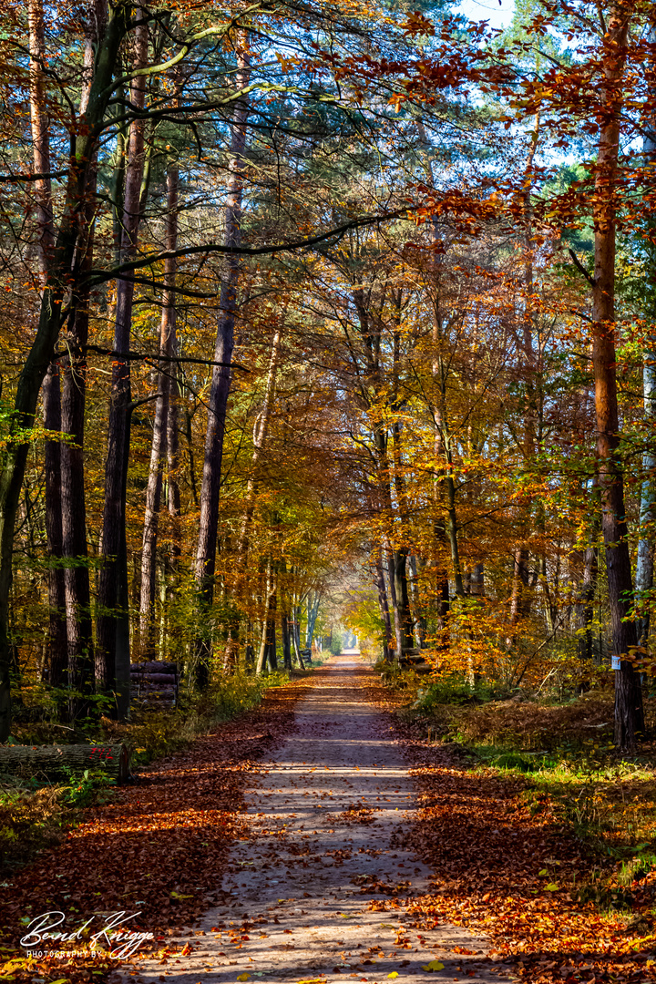 Herbstfarben