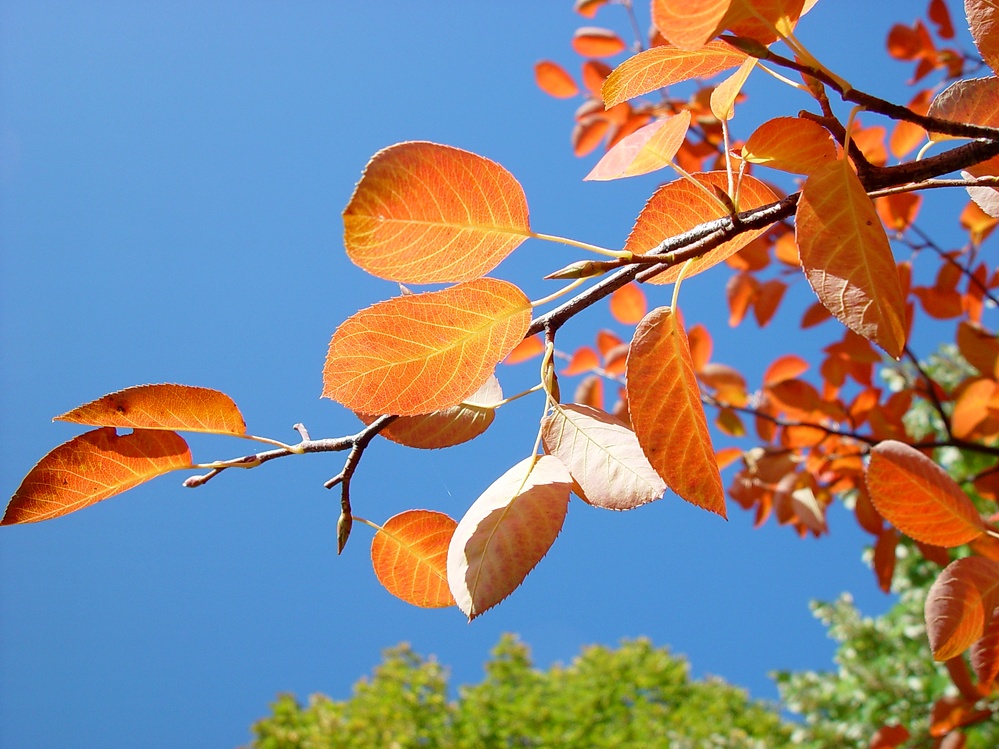 Herbstfarben