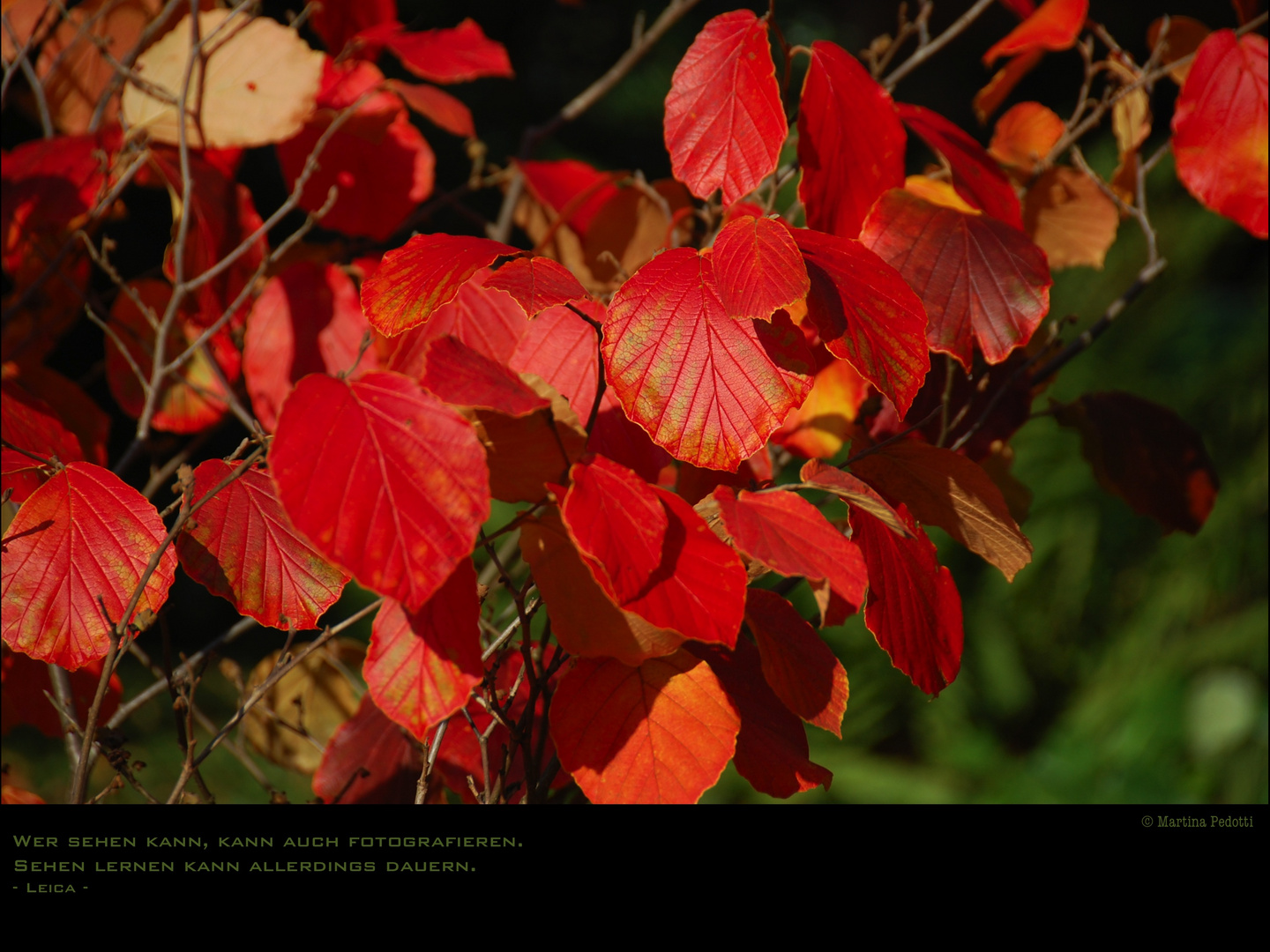 Herbstfarben