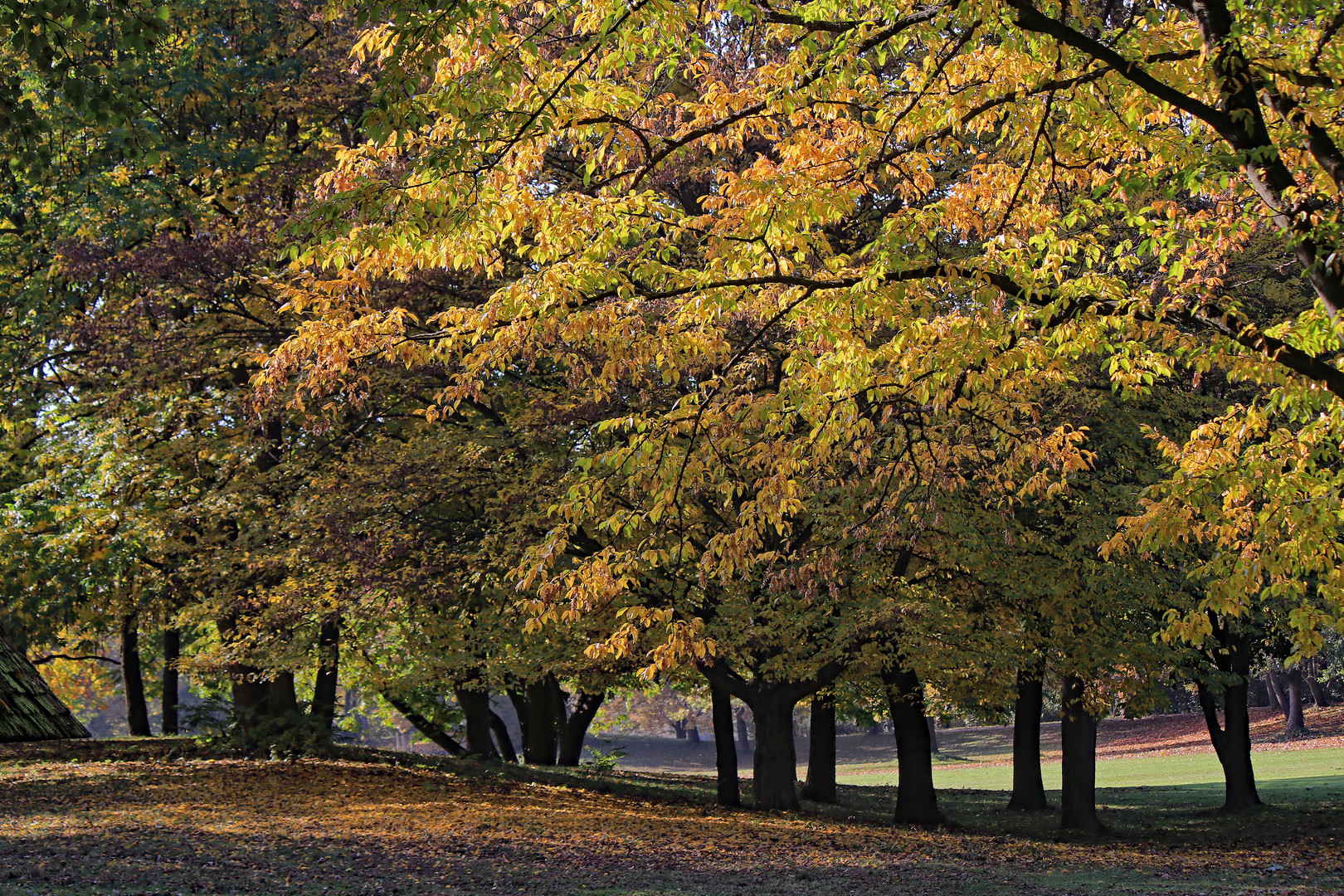 Herbstfarben