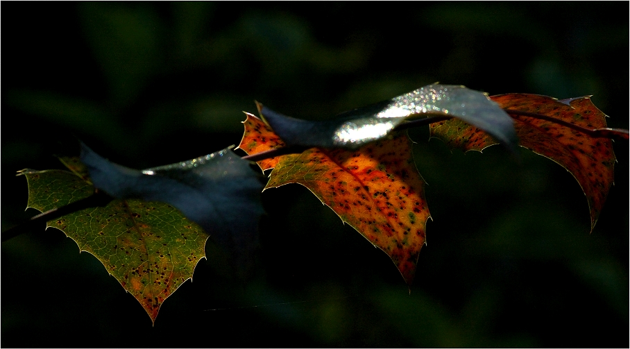 Herbstfarben