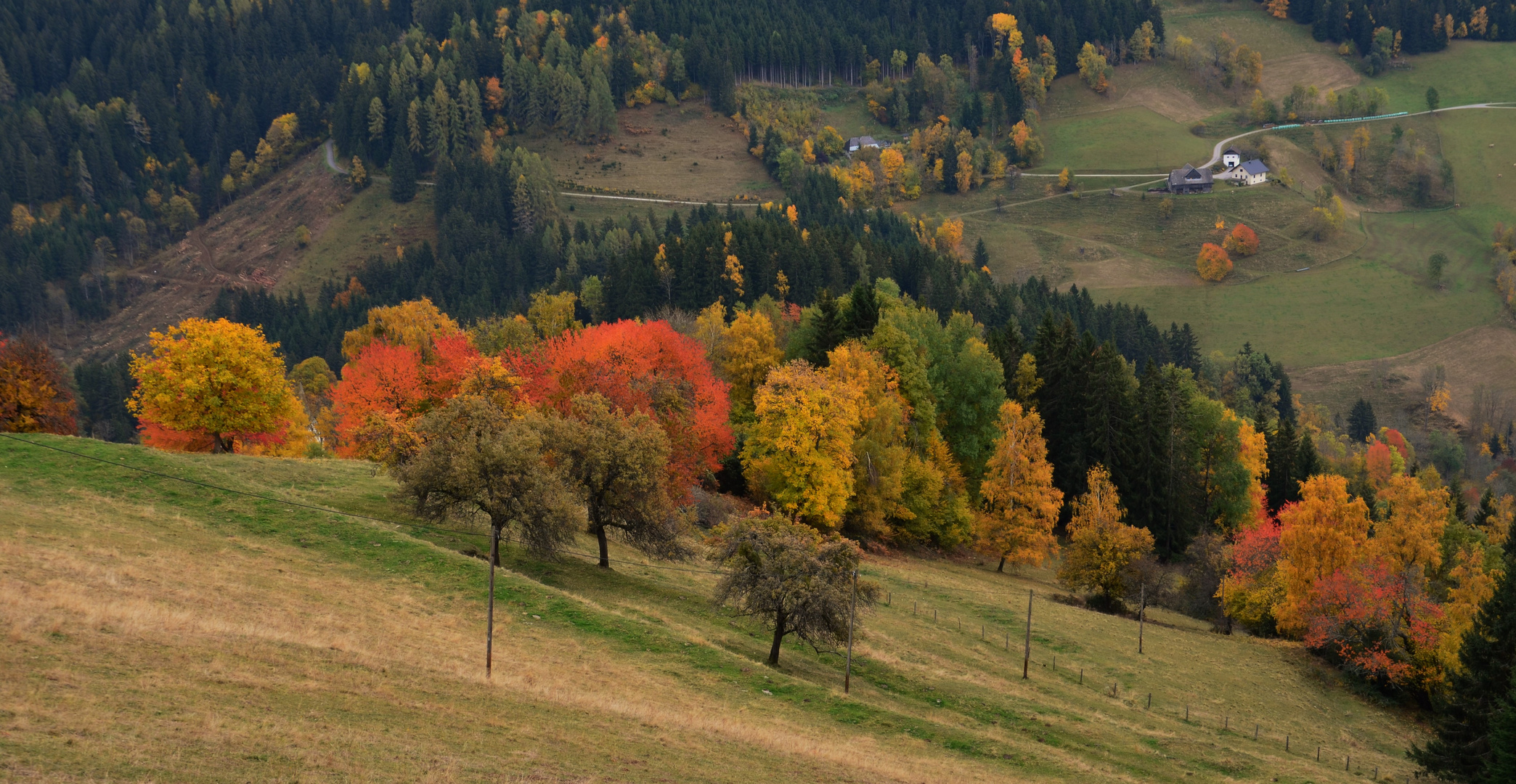 Herbstfarben 