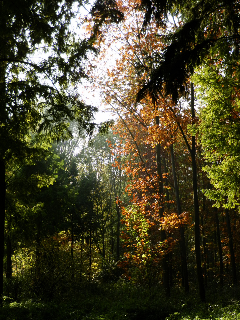 Herbstfarben