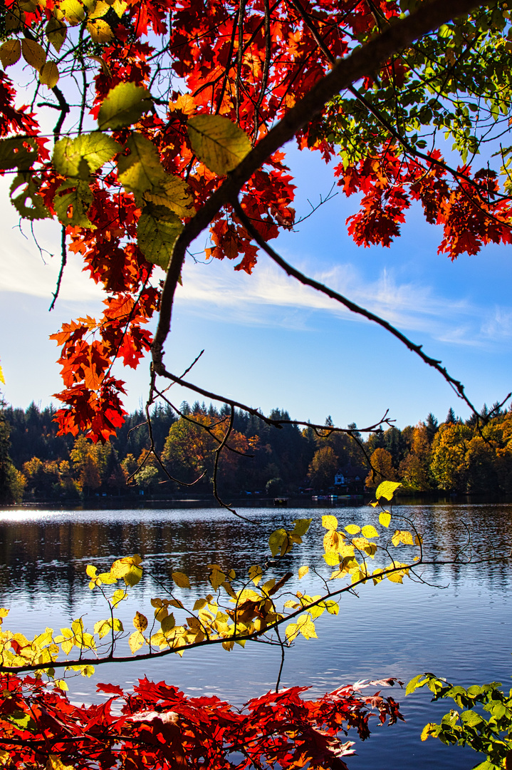 Herbstfarben 1