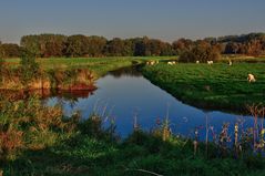 Herbstfarben 1