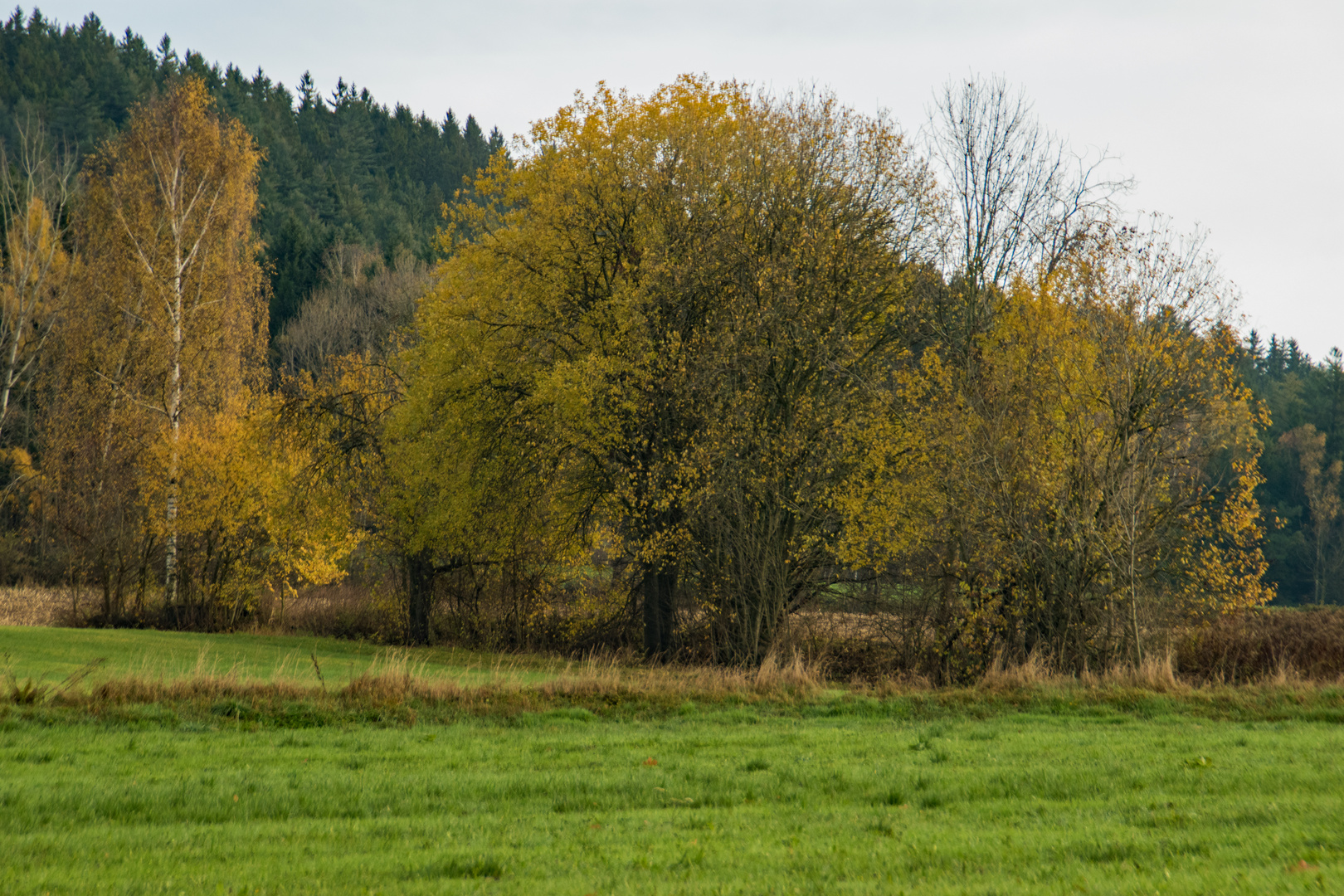 Herbstfarben 1