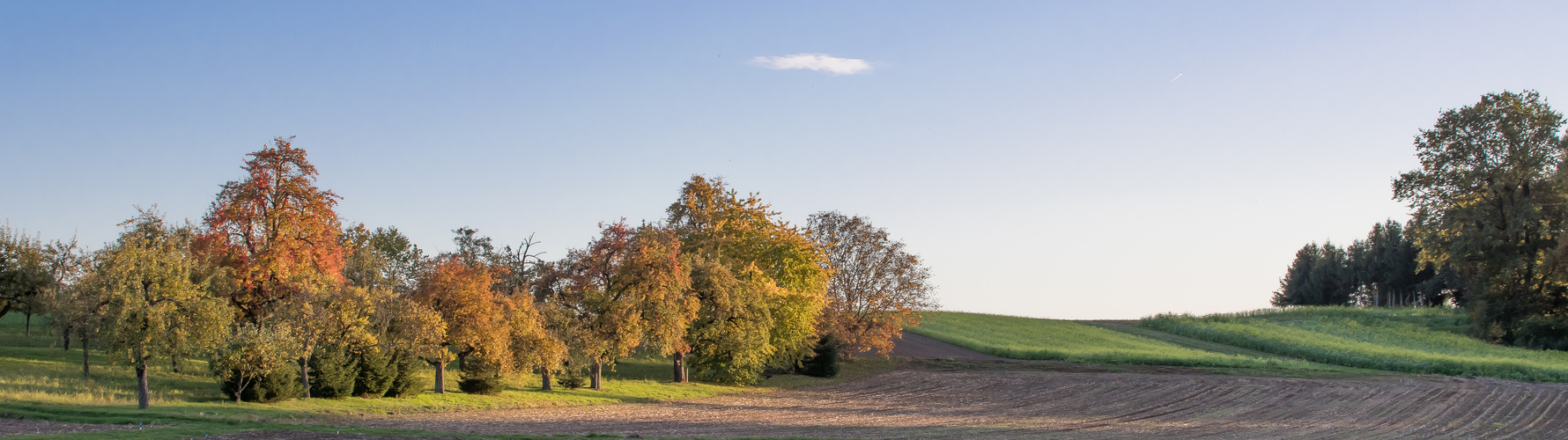 HERBSTFARBEN (1)