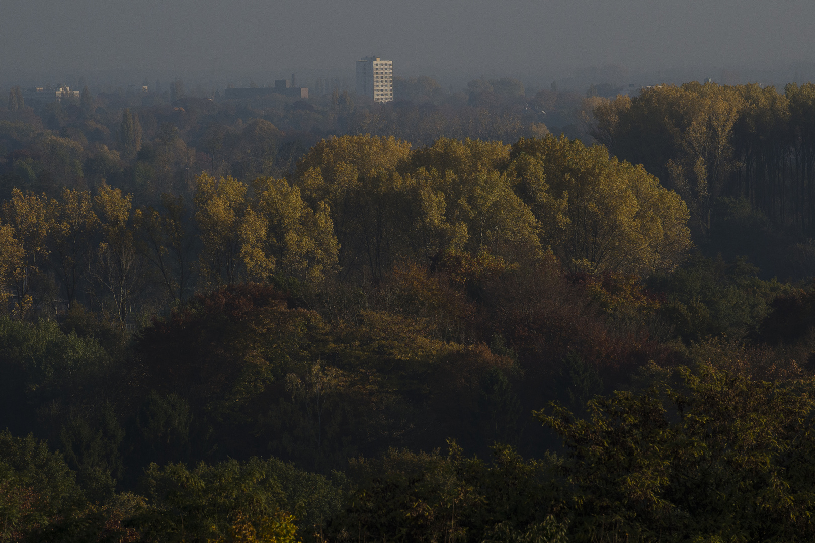 Herbstfarben #1#