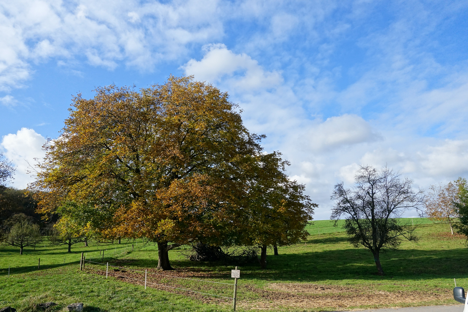 Herbstfarben 1