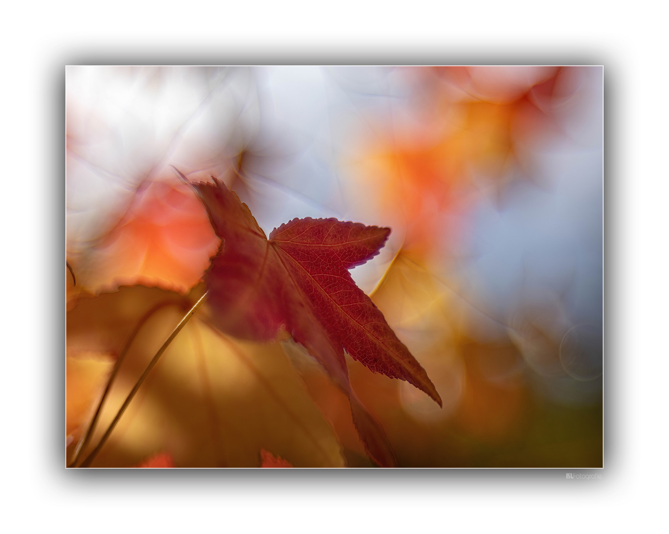 Herbstfarben 10