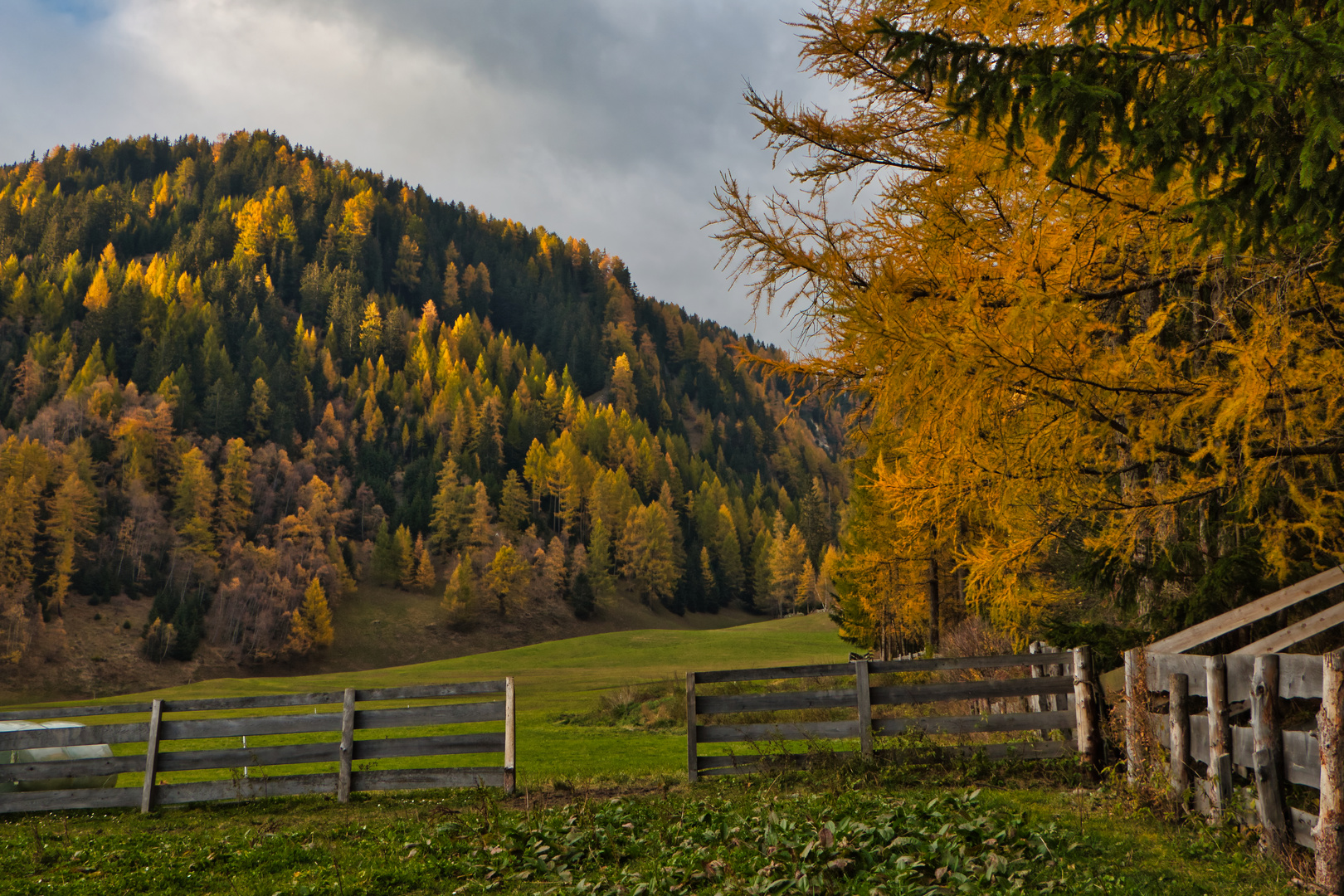 Herbstfarben