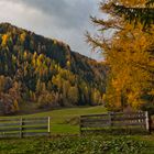 Herbstfarben