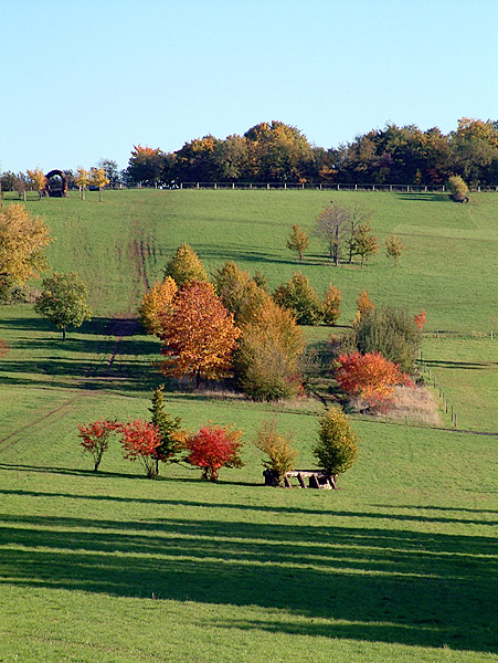 Herbstfarben