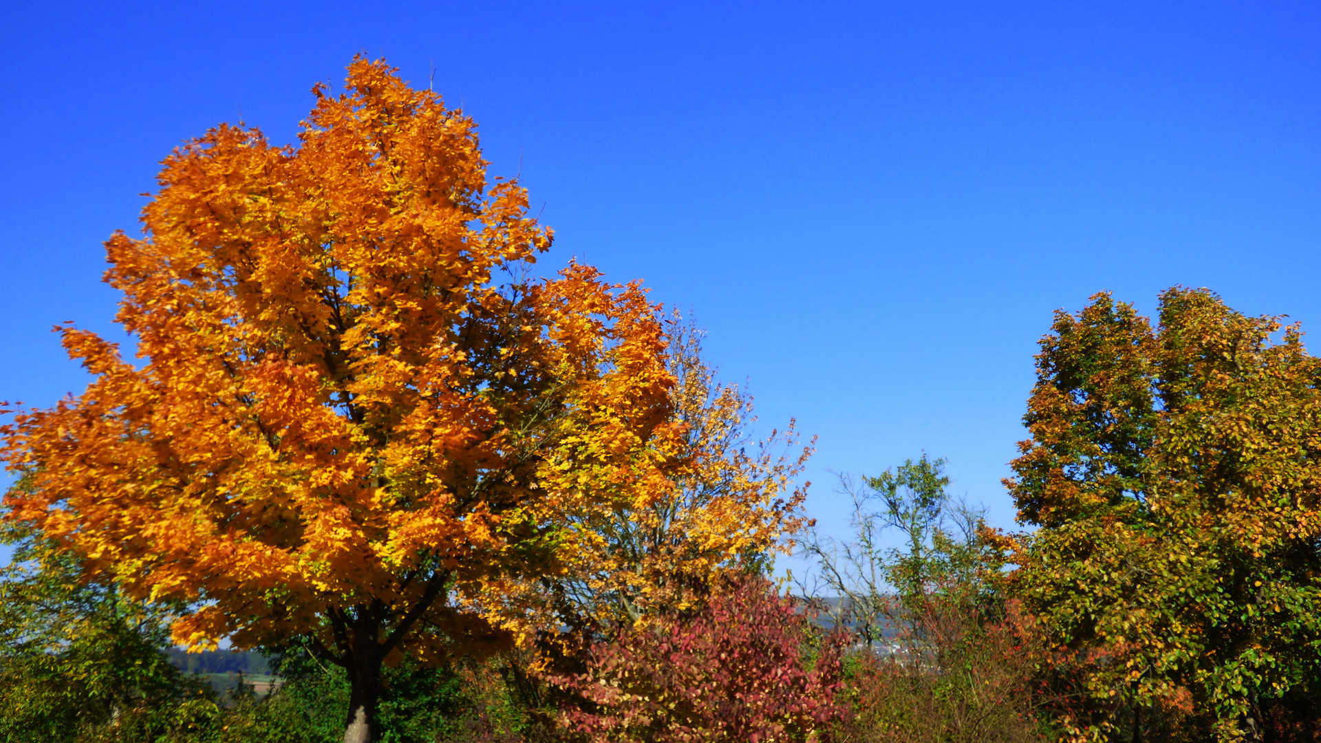 Herbstfarben