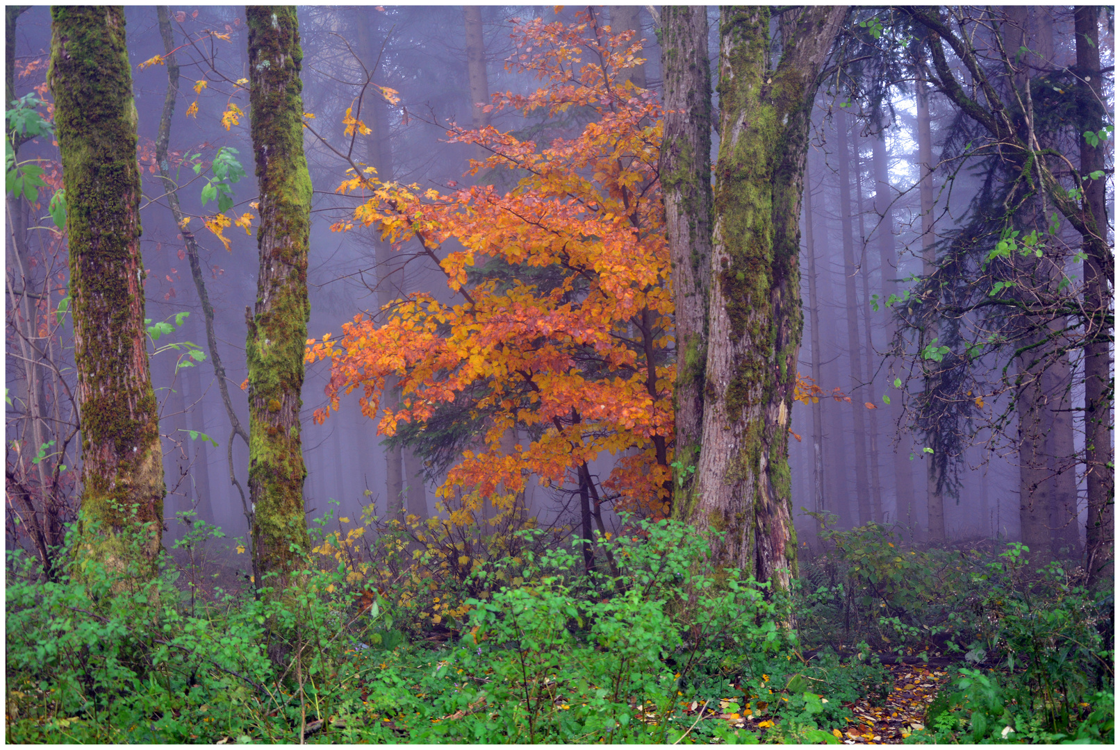 Herbstfarben