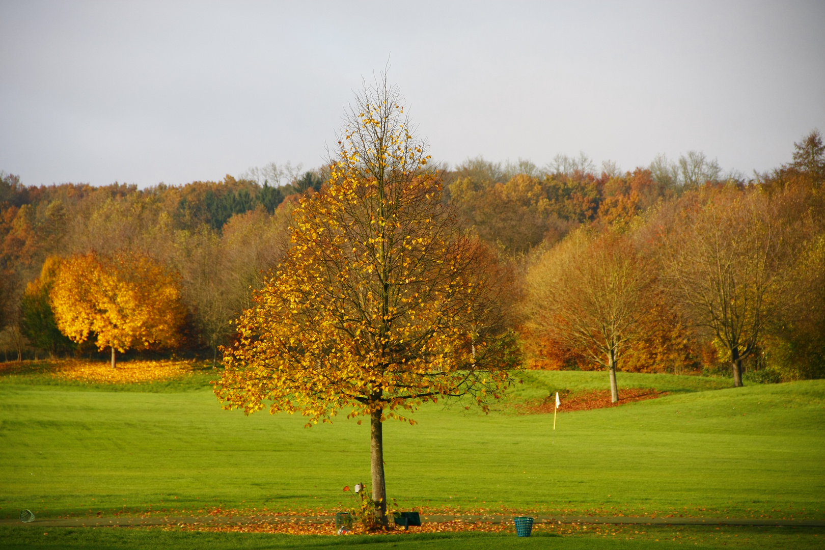 Herbstfarben