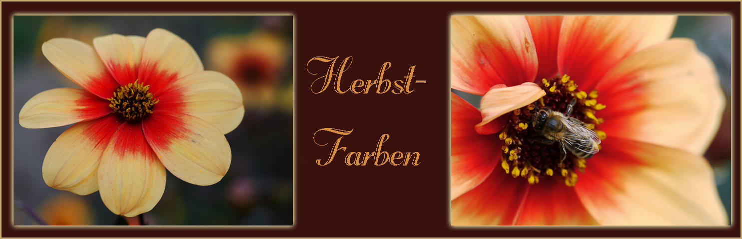 Herbstfarben