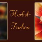 Herbstfarben