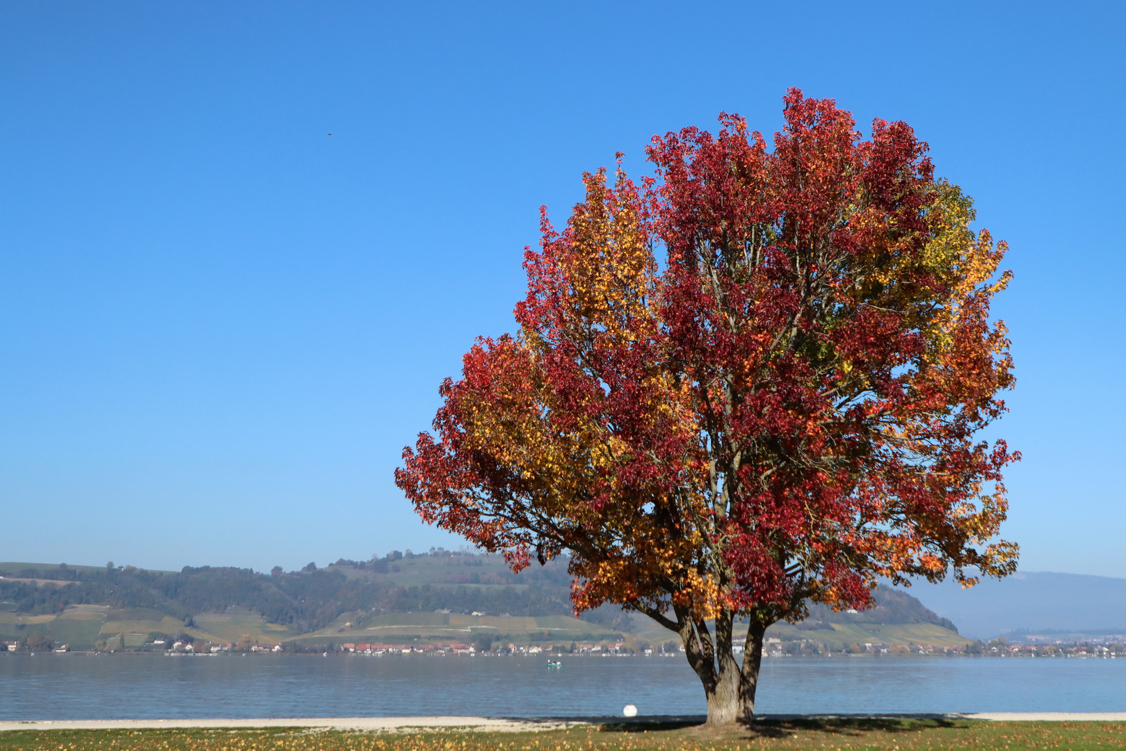 Herbstfarben