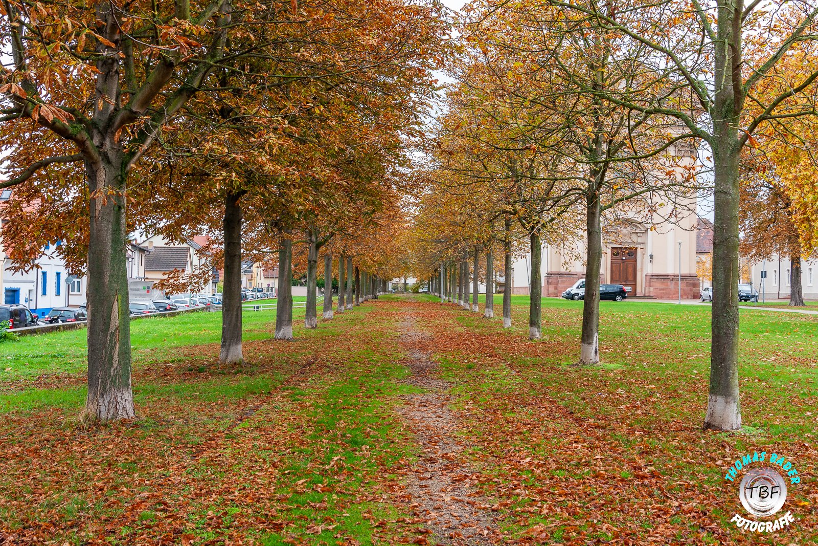 Herbstfarben ...