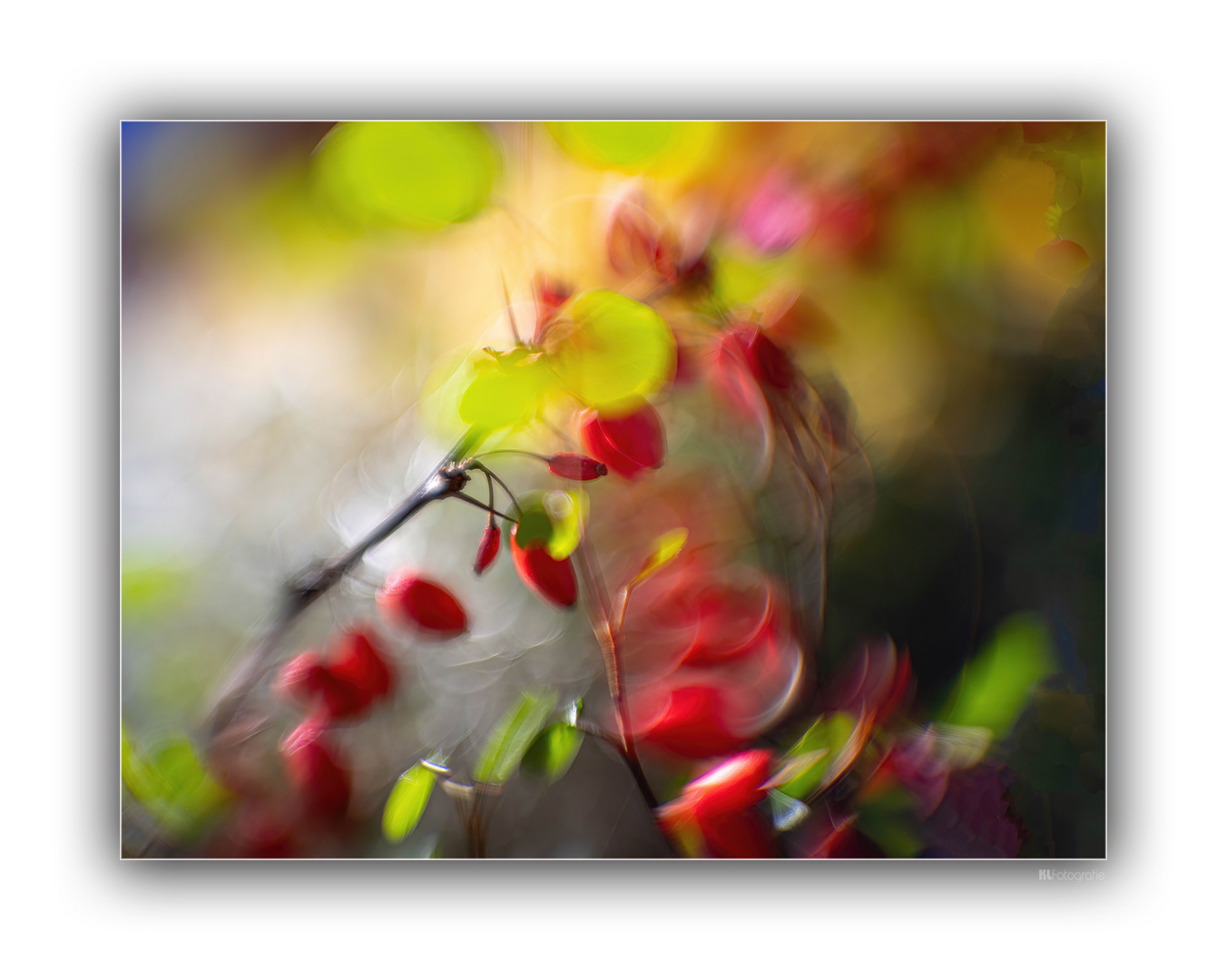 Herbstfarben 14