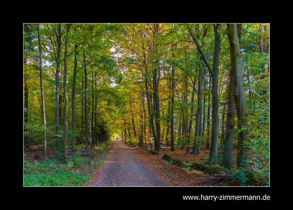 Herbstfarben