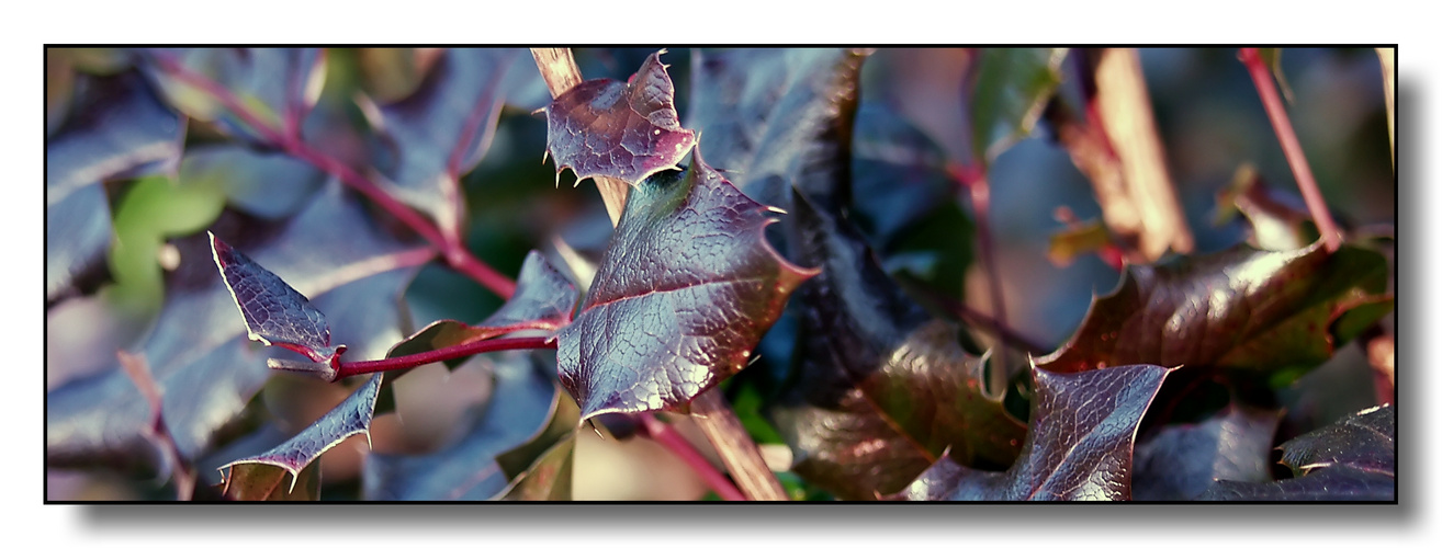 Herbstfarben