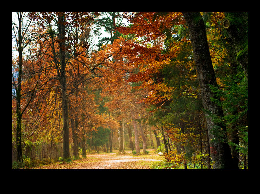 Herbstfarben