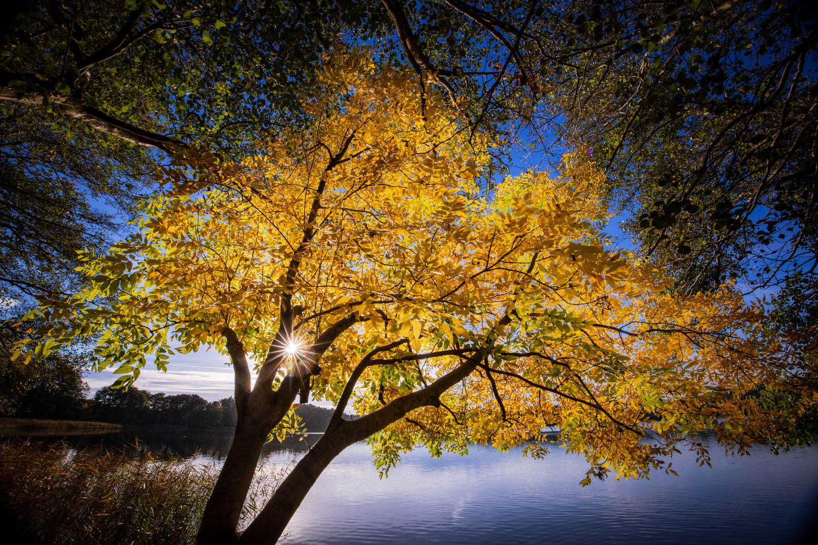 Herbstfarben