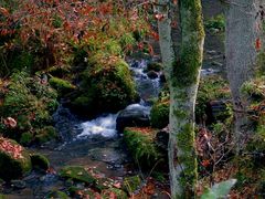 Herbstfarben