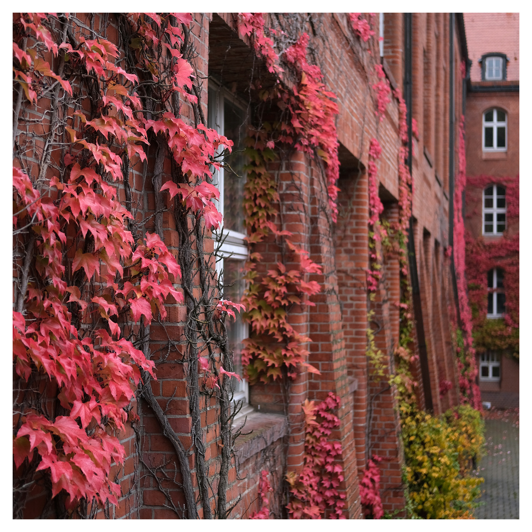 Herbstfarben