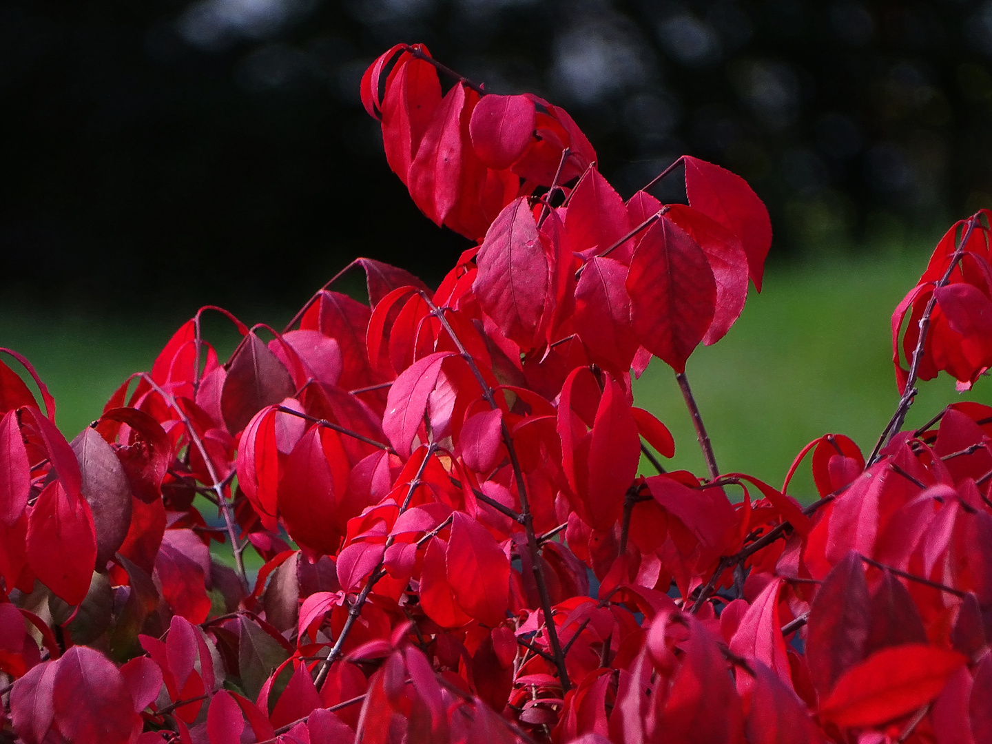 Herbstfarben