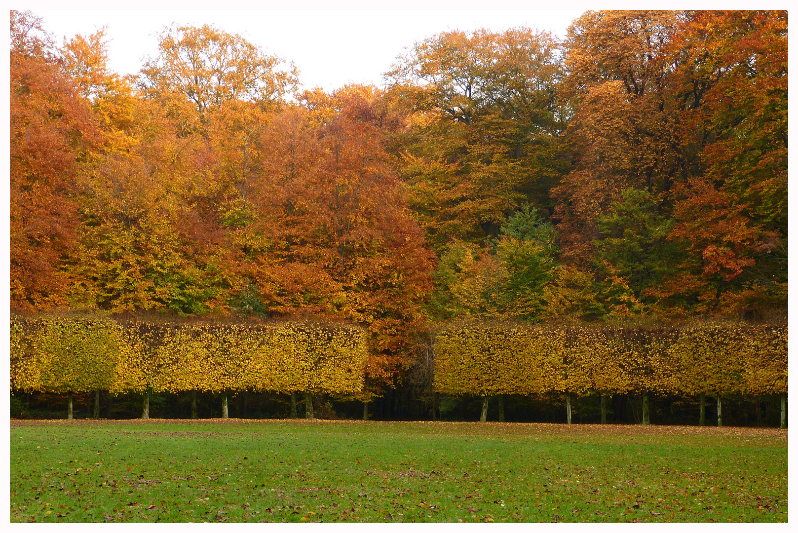 Herbstfarben