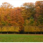 Herbstfarben