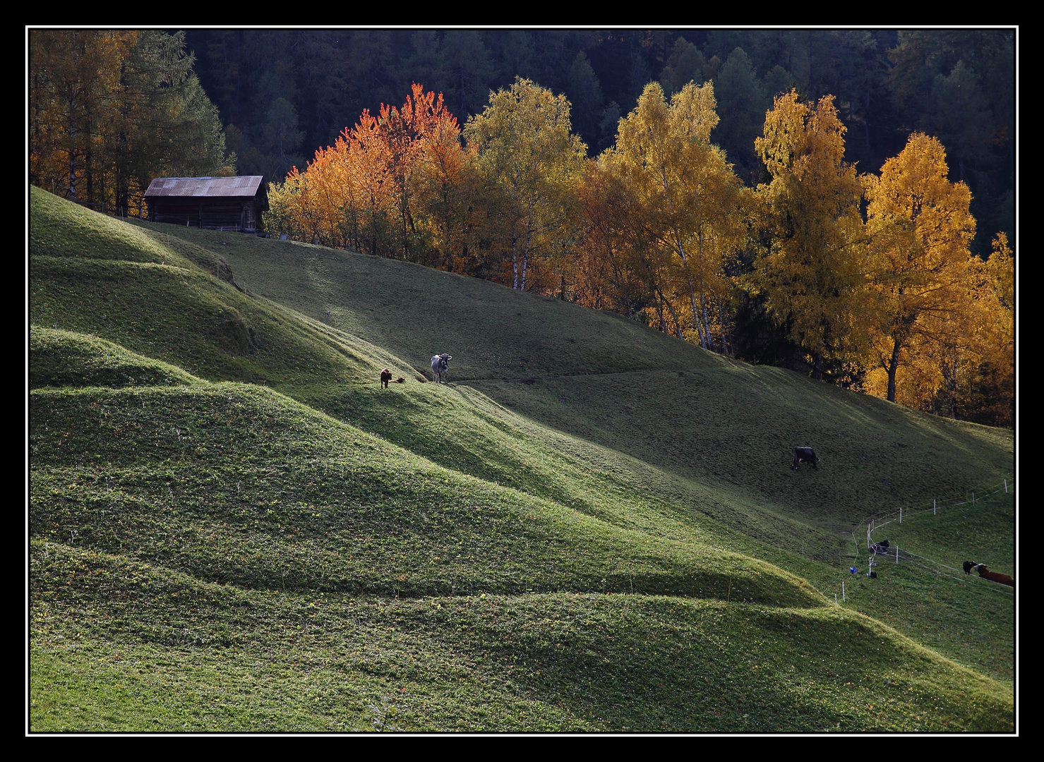 Herbstfarben