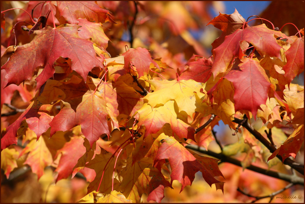 Herbstfarben