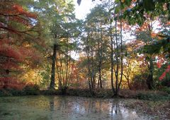 Herbstfarben