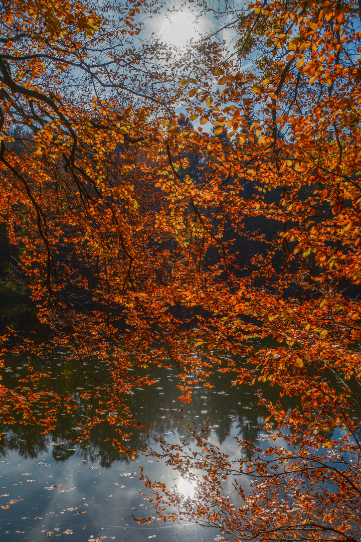 HERBSTFARBEN 