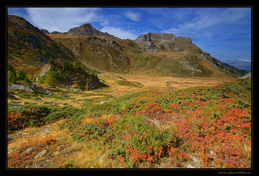 Herbstfarben