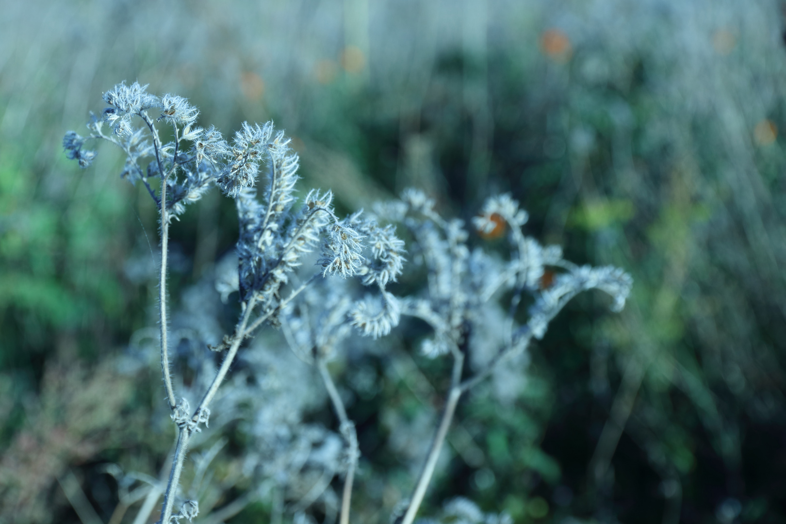 Herbstfarben