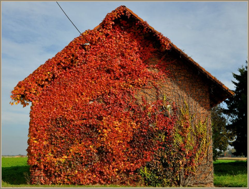 Herbstfarben