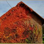 Herbstfarben