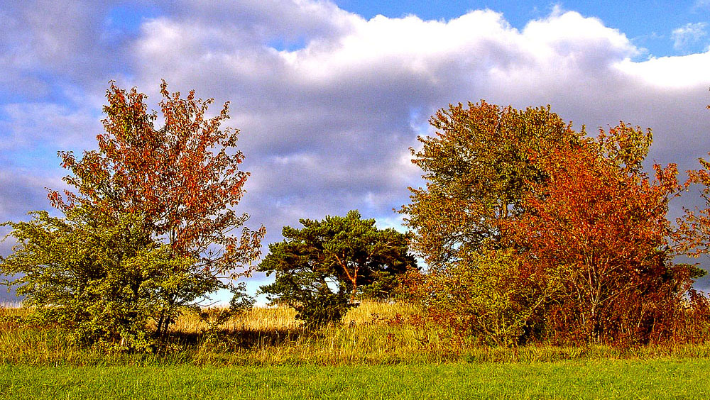 Herbstfarben........