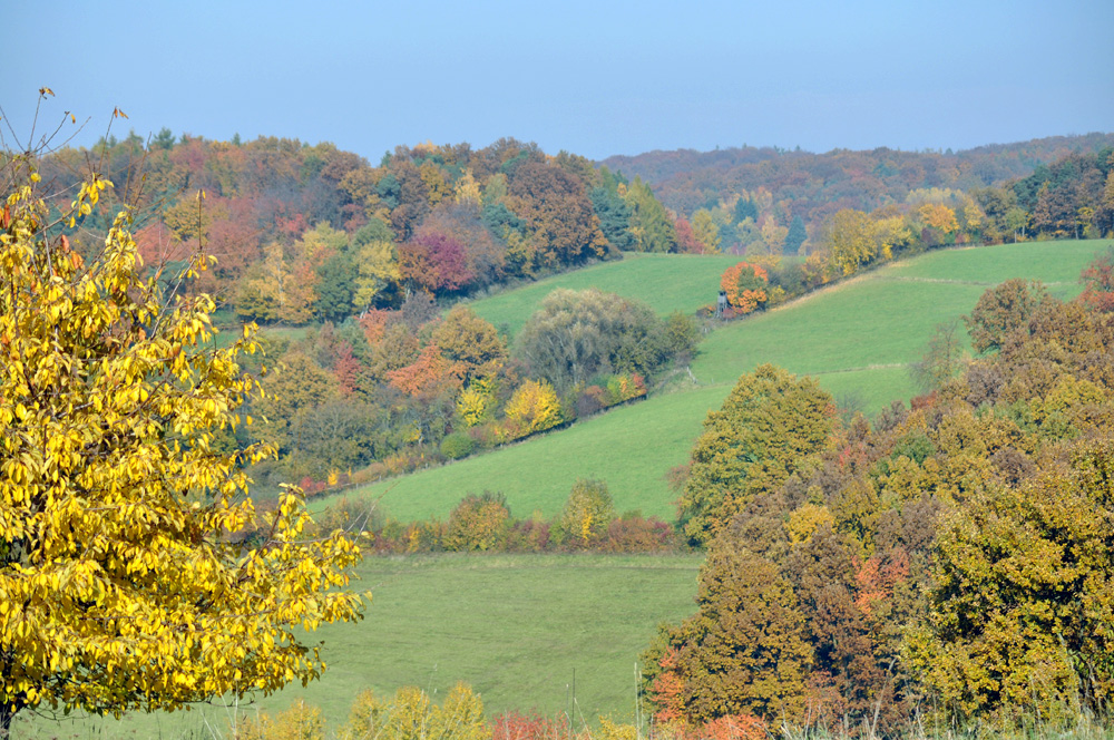 Herbstfarben