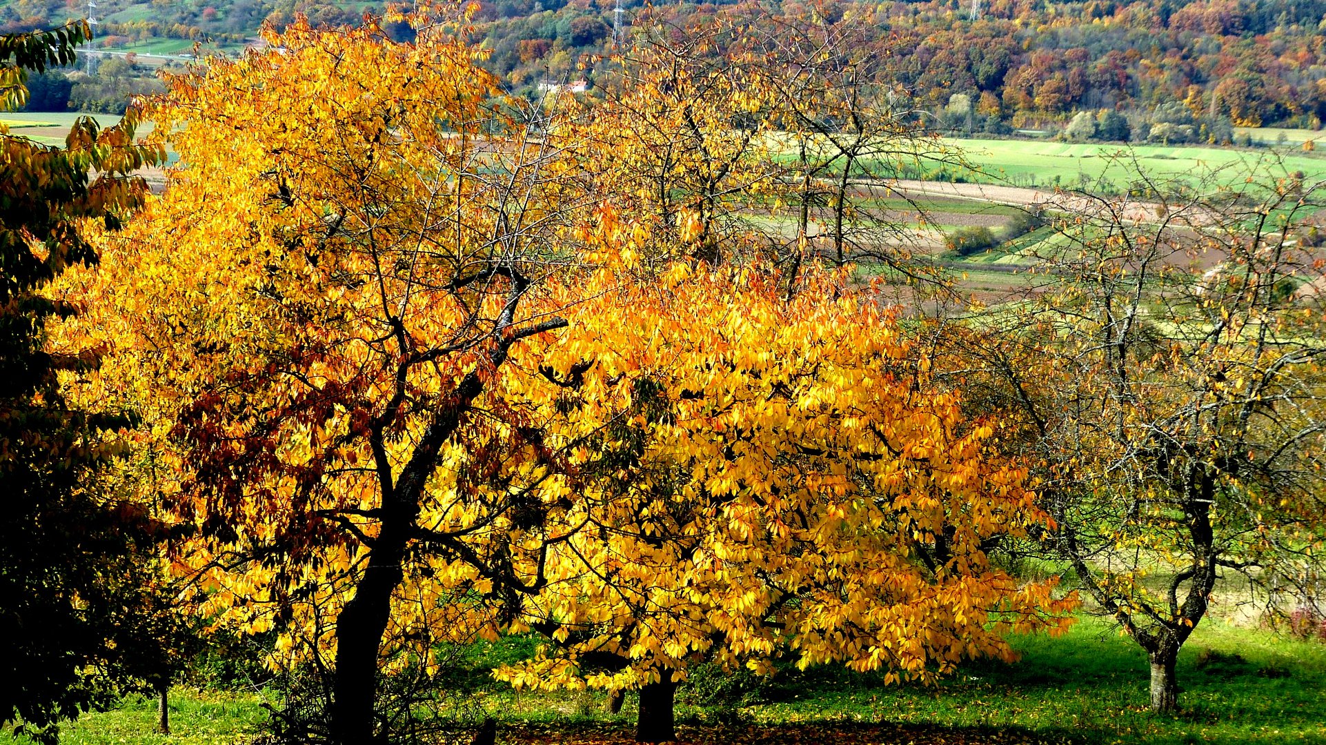 Herbstfarben 19