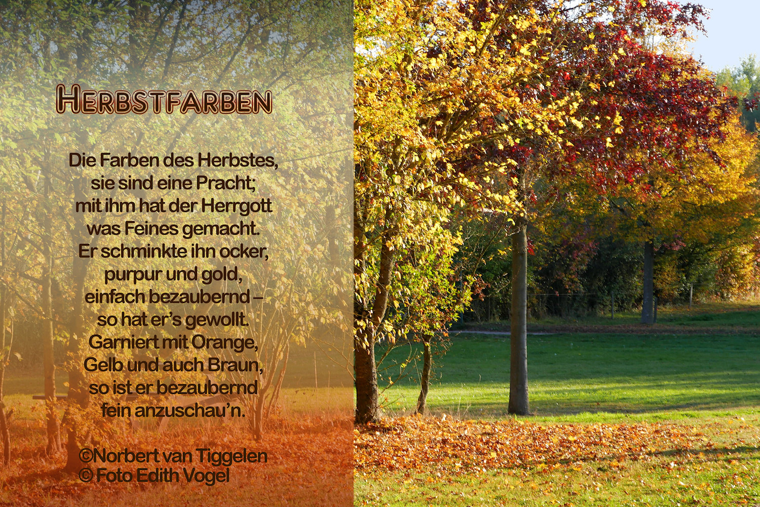 HERBSTFARBEN