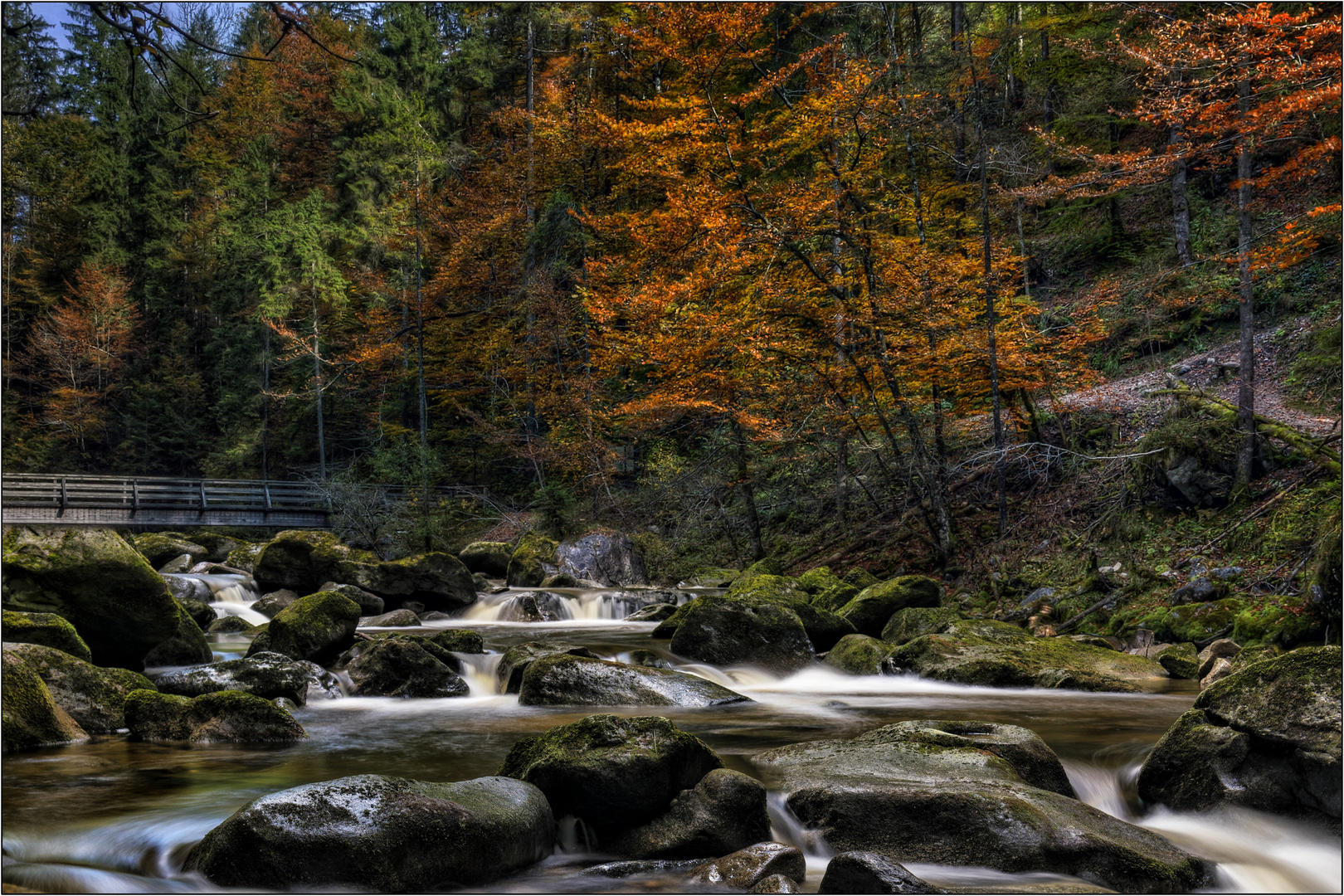 Herbstfarben 