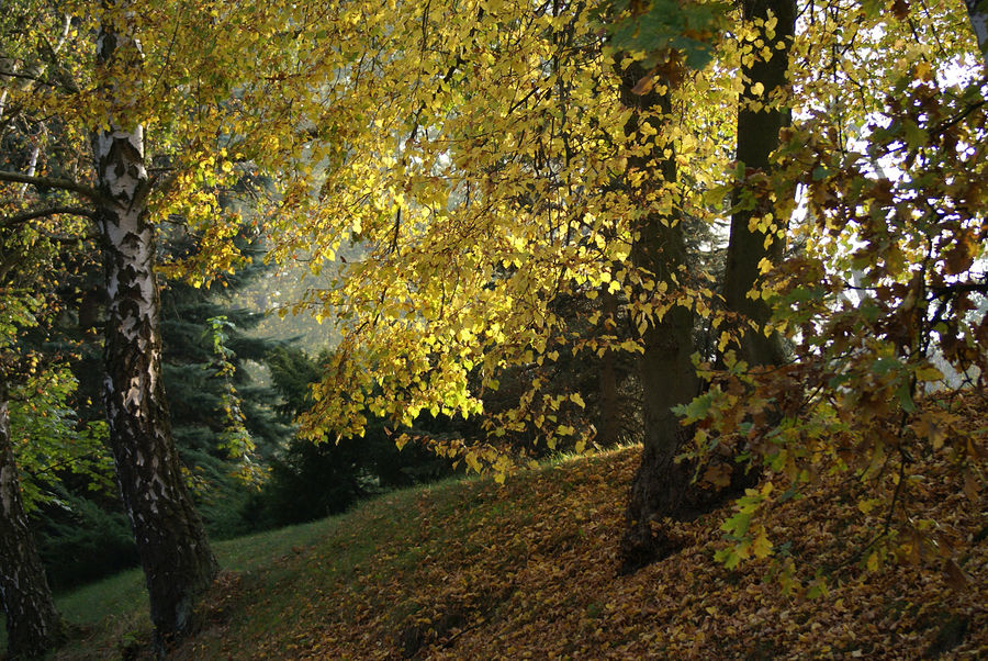 Herbstfarben