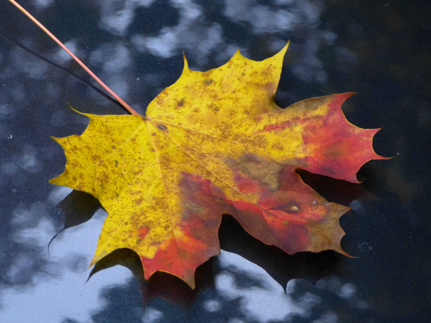 Herbstfarben