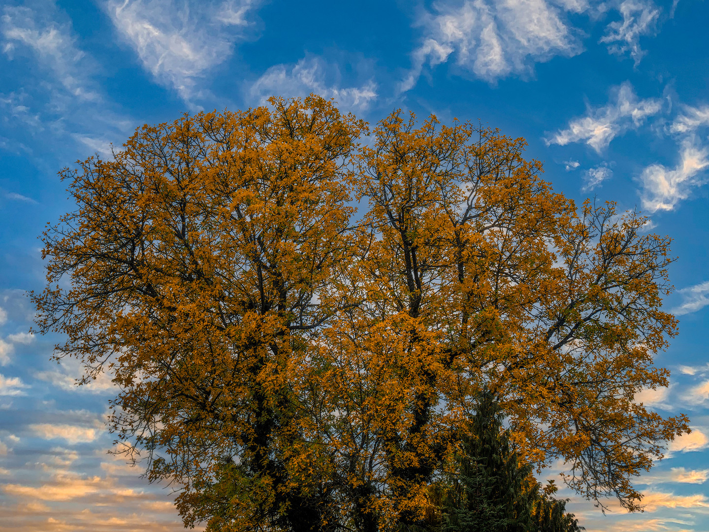 Herbstfarben